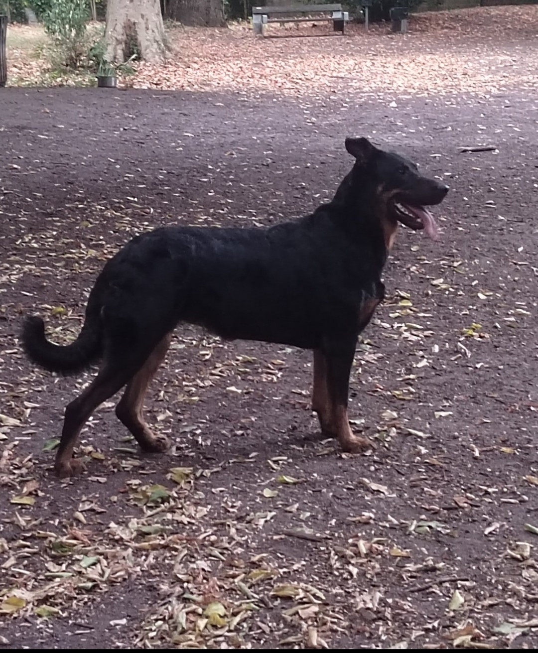 Thaiga de la fontaine au cresson