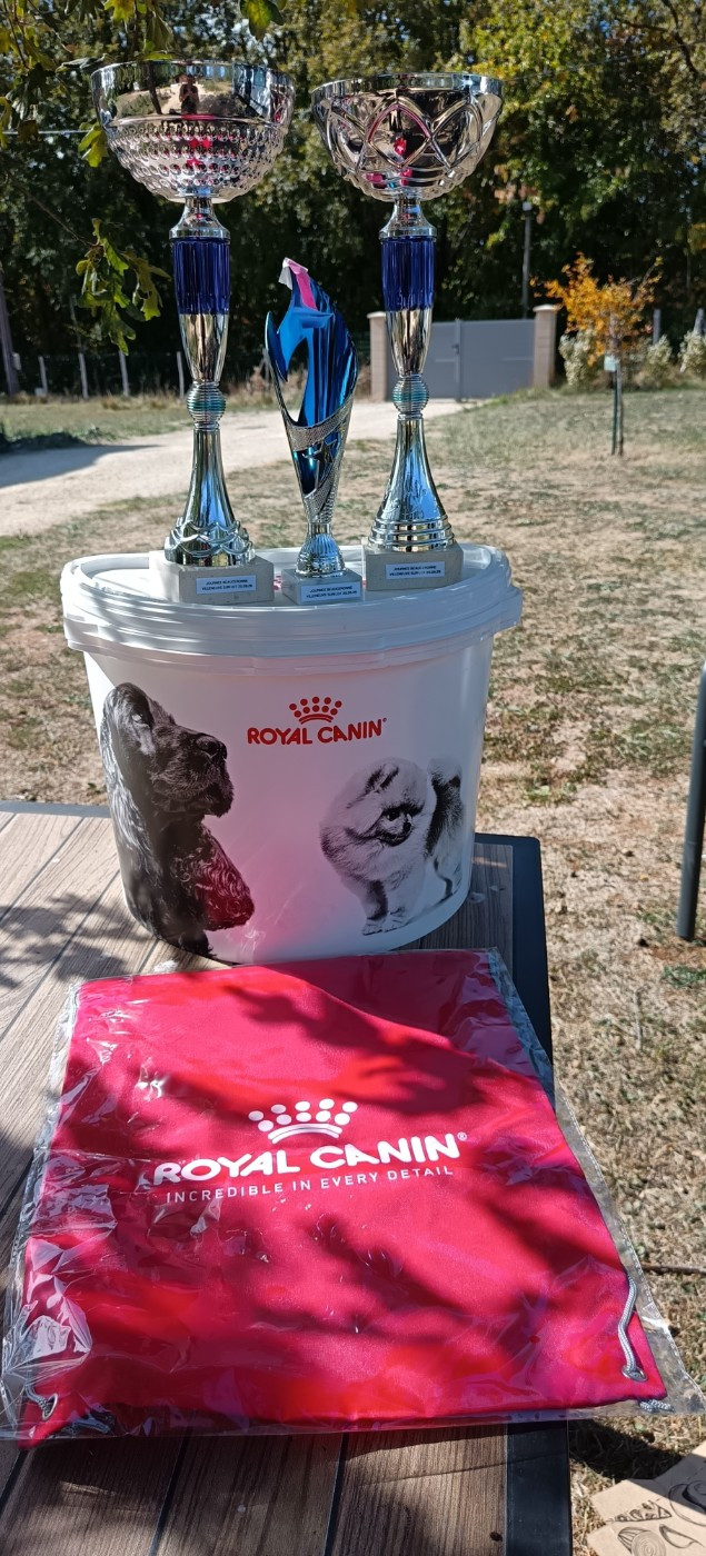 Retour de la Journée Beauceronne de Villeneuve sur Lot (46)